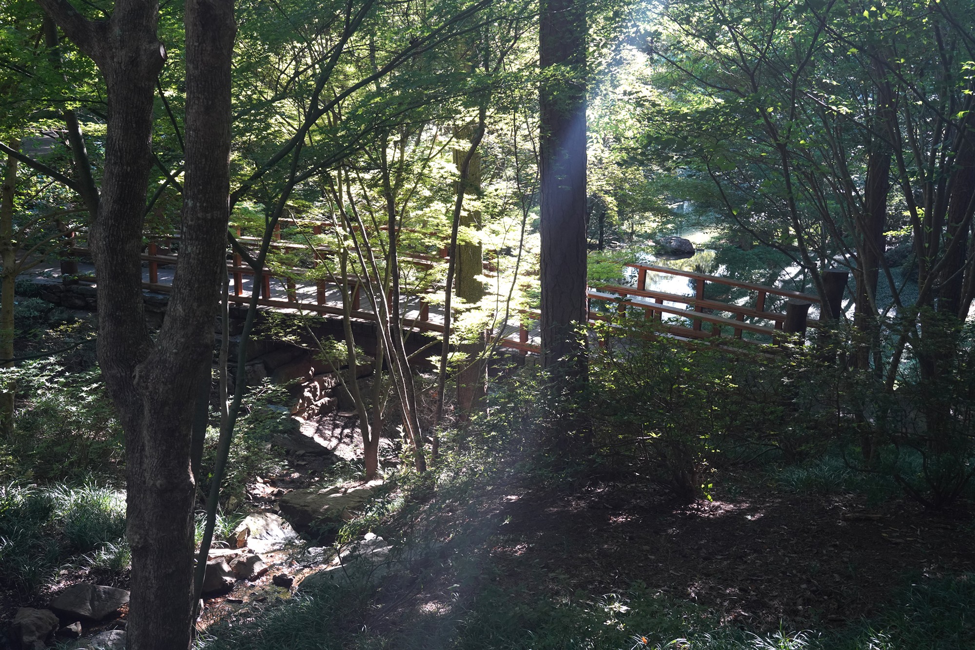 Garvan Woodland Gardens (7)