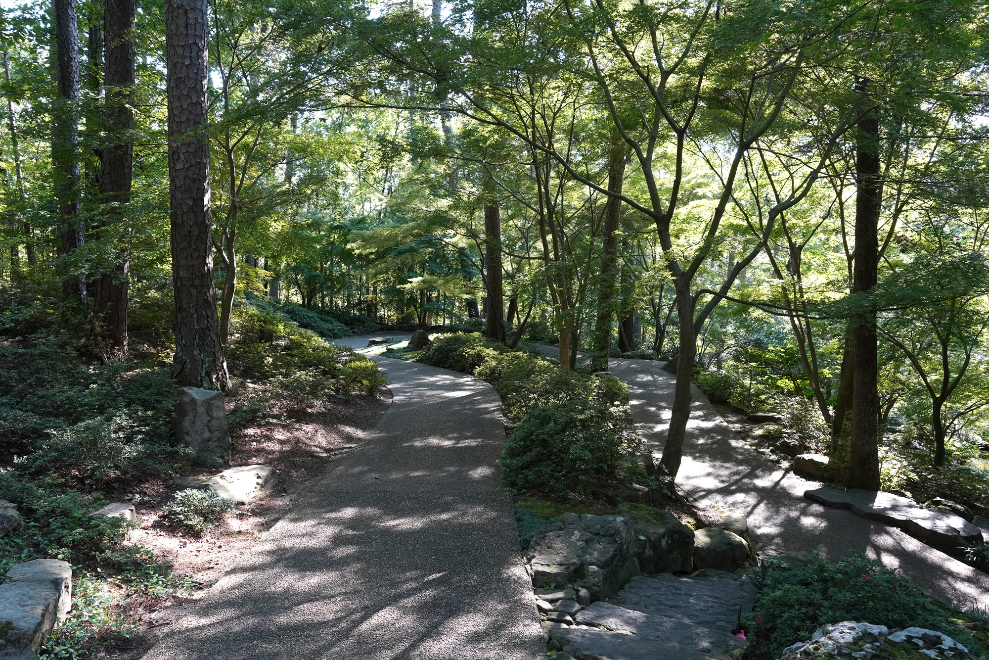 Garvan Woodland Gardens (8)