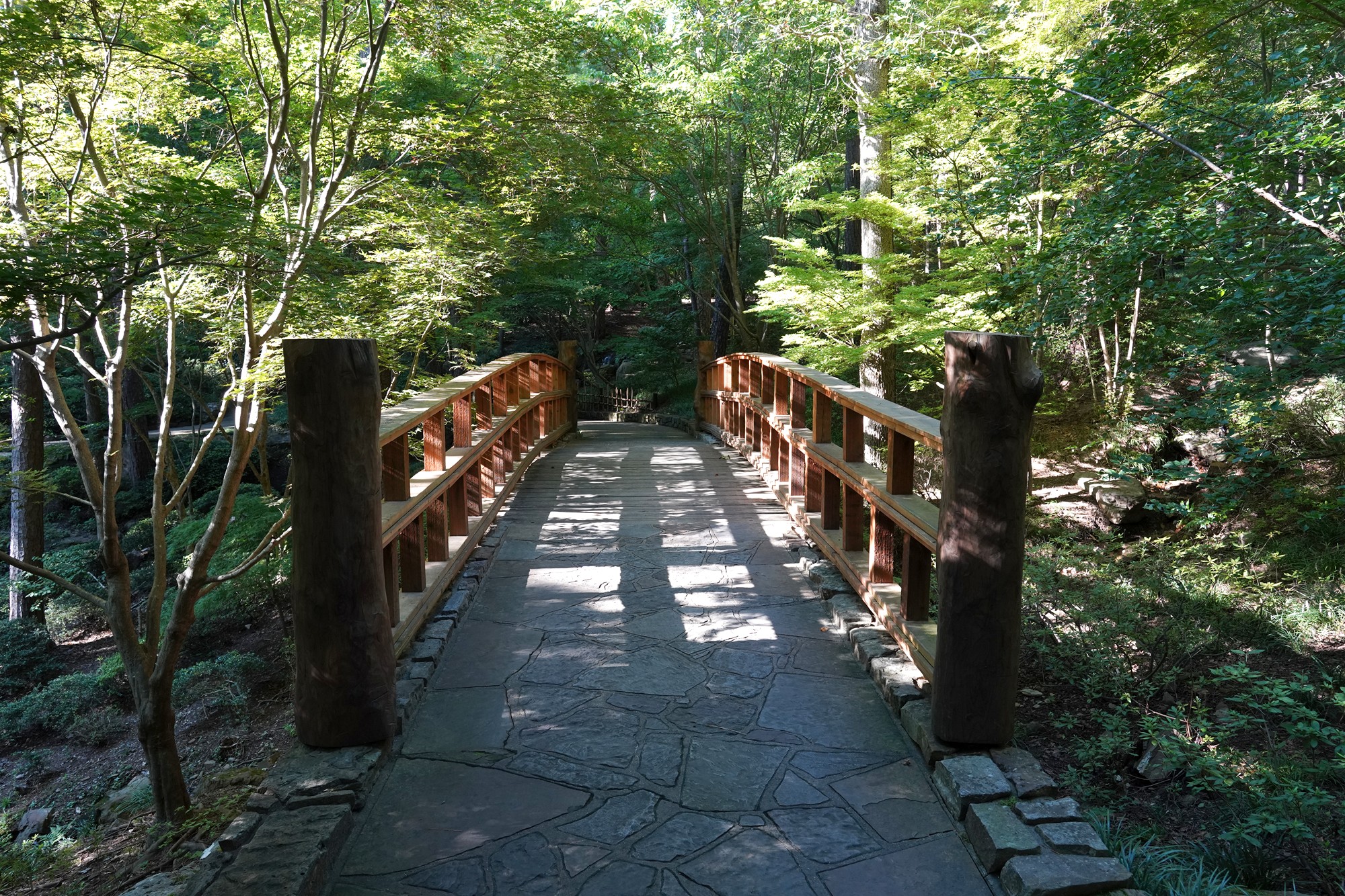 Garvan Woodland Gardens (9)
