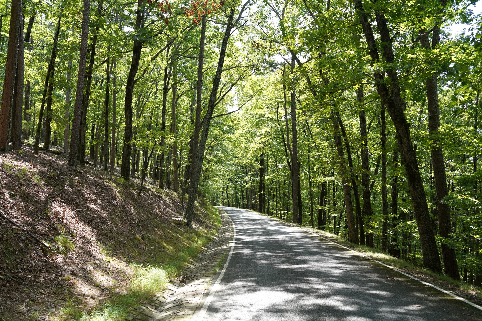 Hot Springs National Park (7)