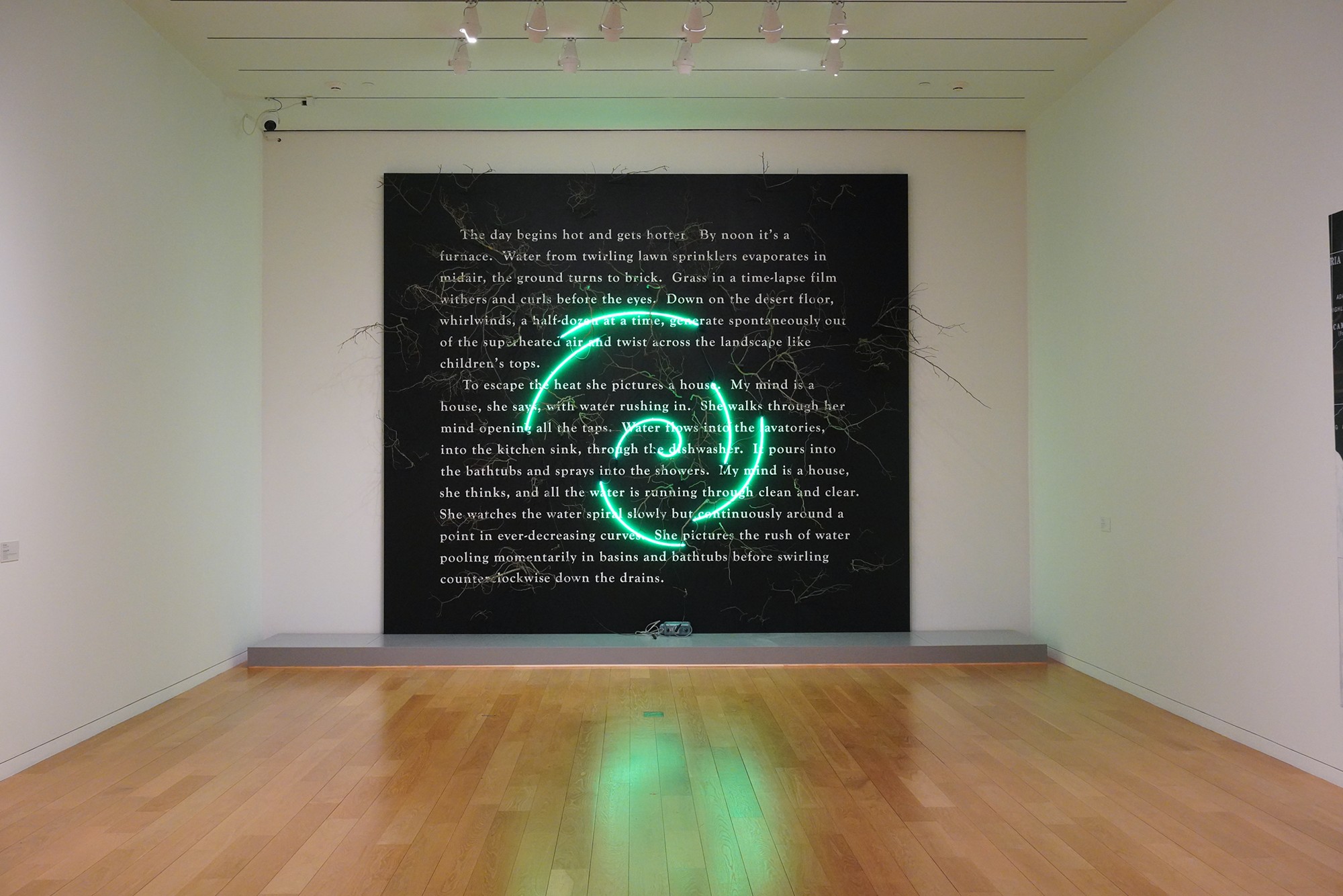 Modern Art Museum of Fort Worth (13)