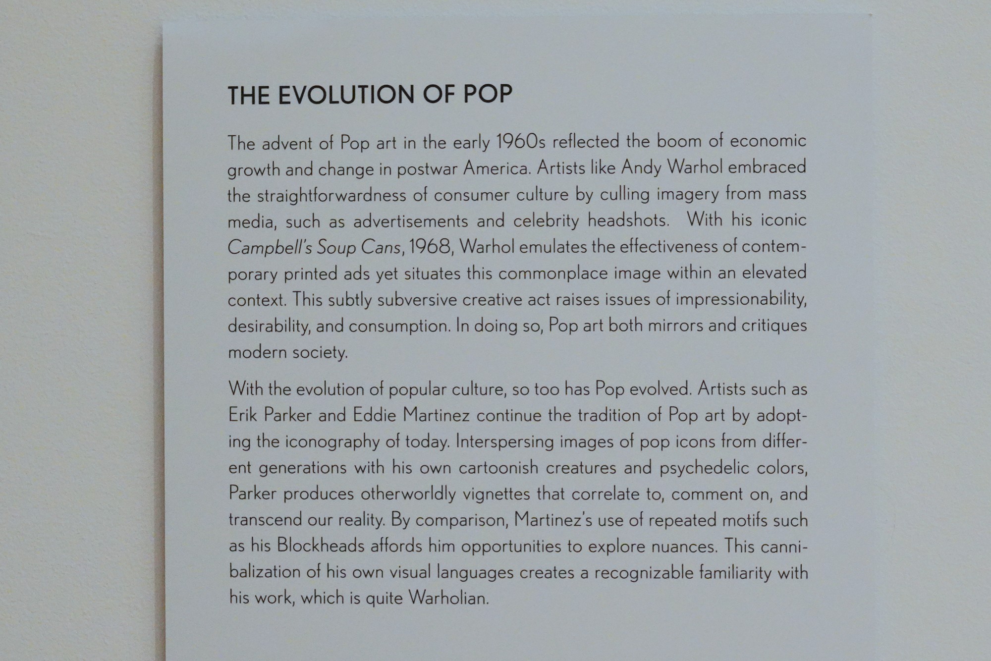 Modern Art Museum of Fort Worth (20)