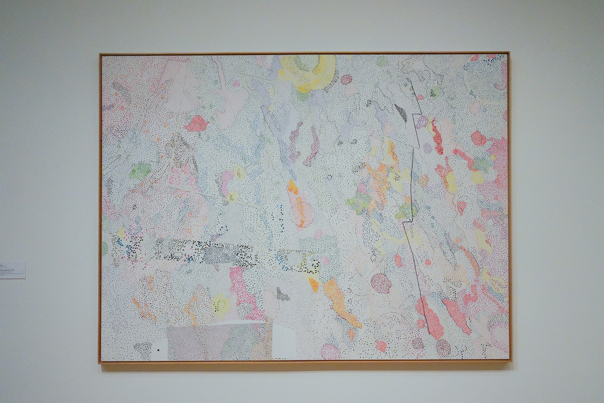 Modern Art Museum of Fort Worth (39)
