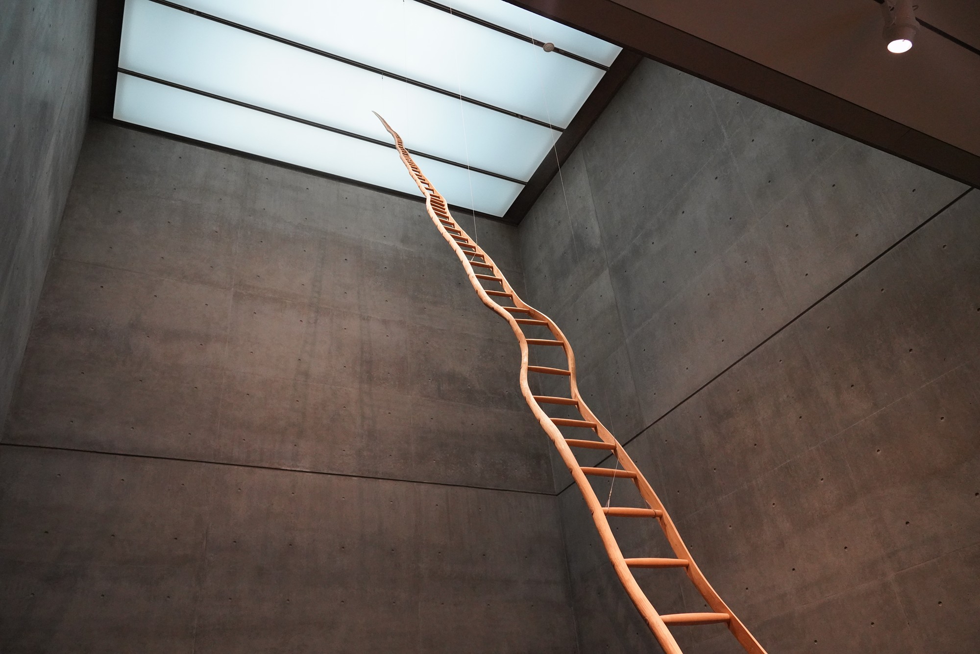 Modern Art Museum of Fort Worth (45)