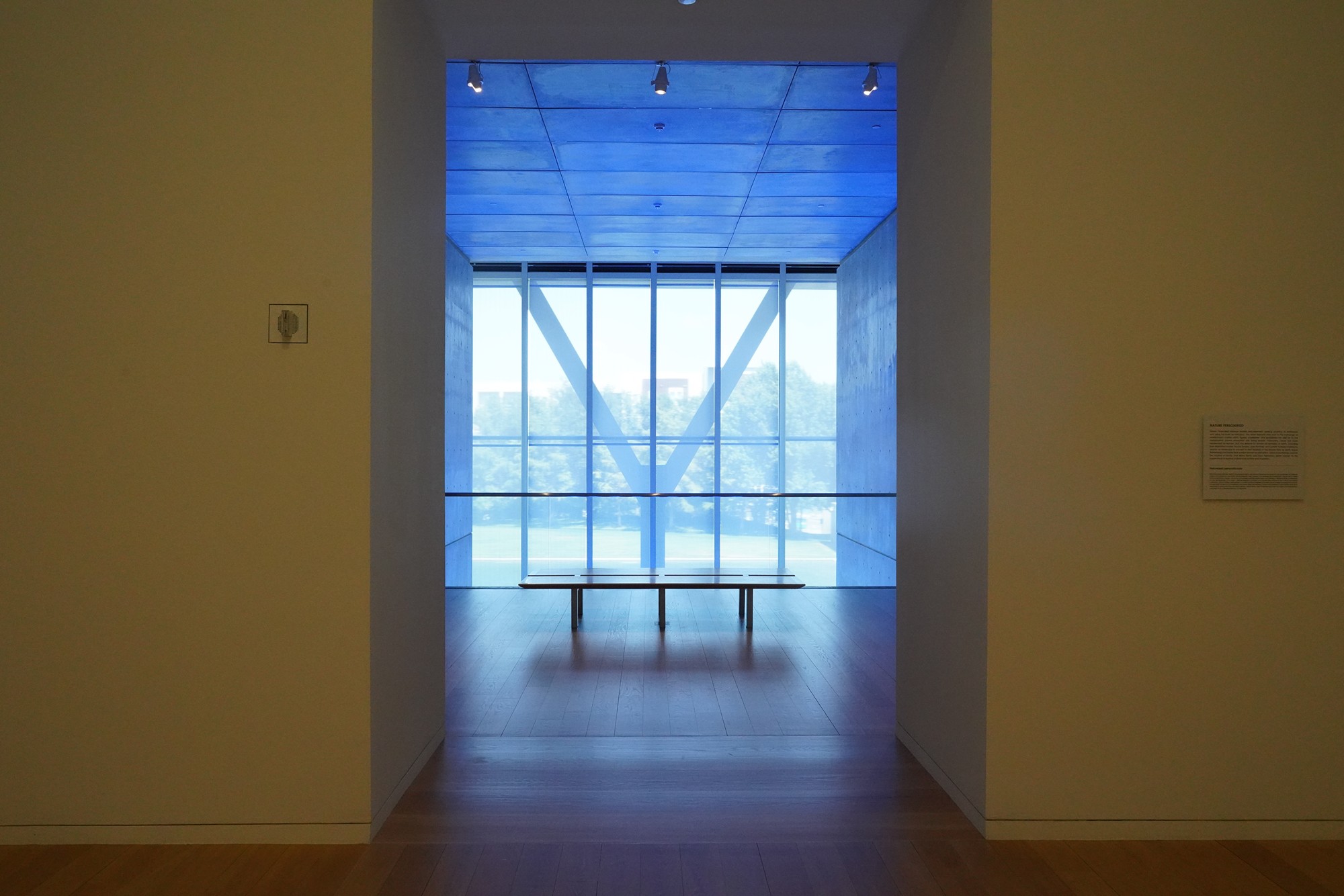 Modern Art Museum of Fort Worth (54)