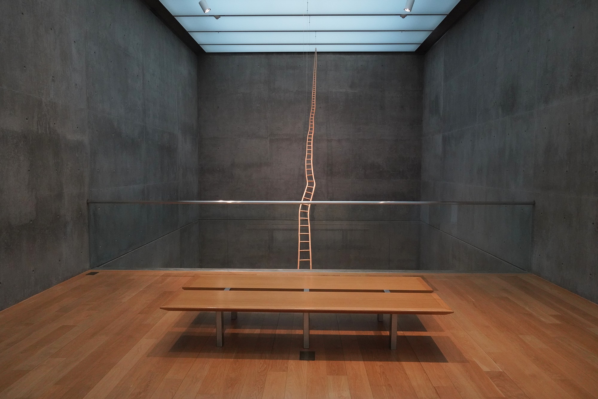Modern Art Museum of Fort Worth (55)