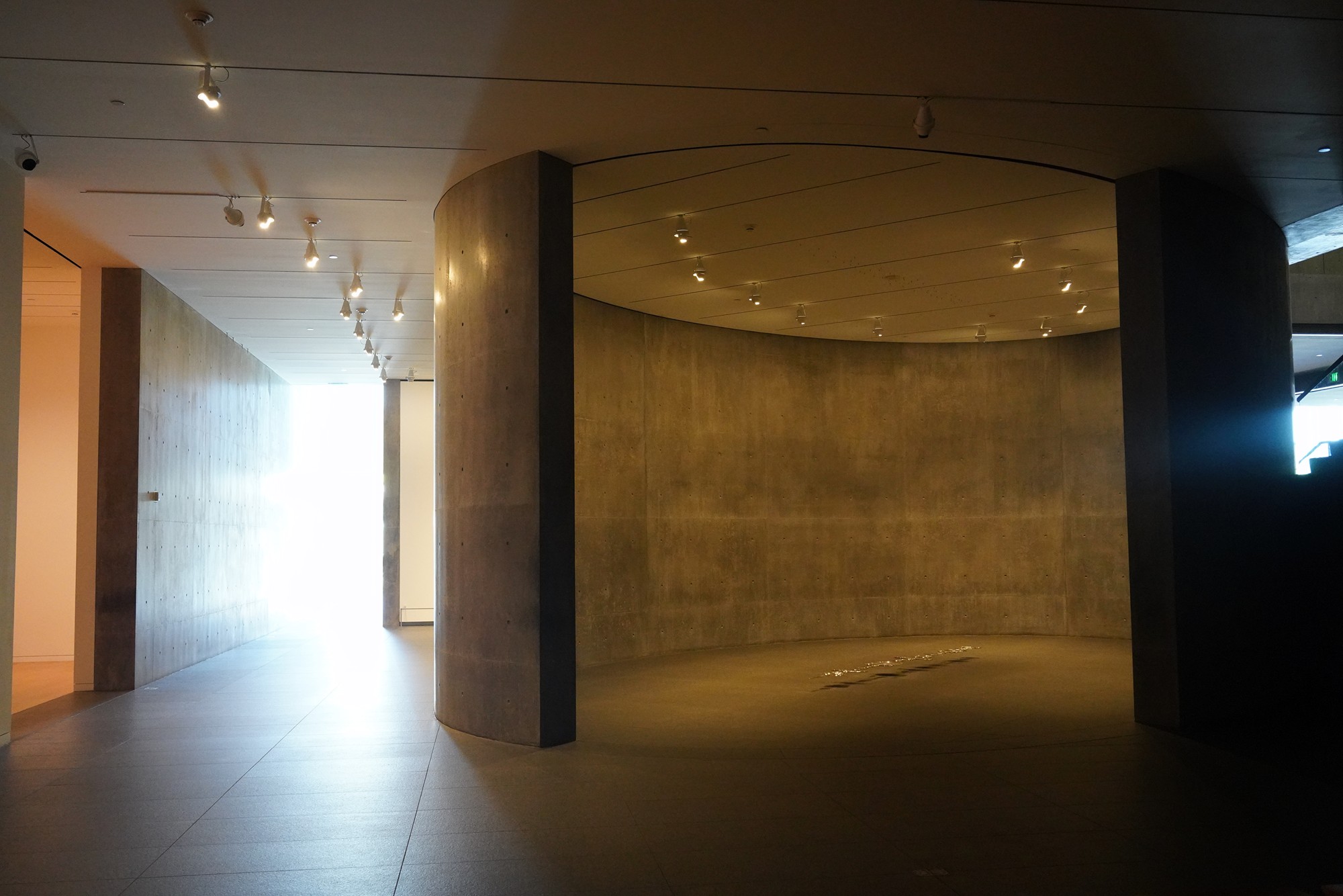 Modern Art Museum of Fort Worth (6)