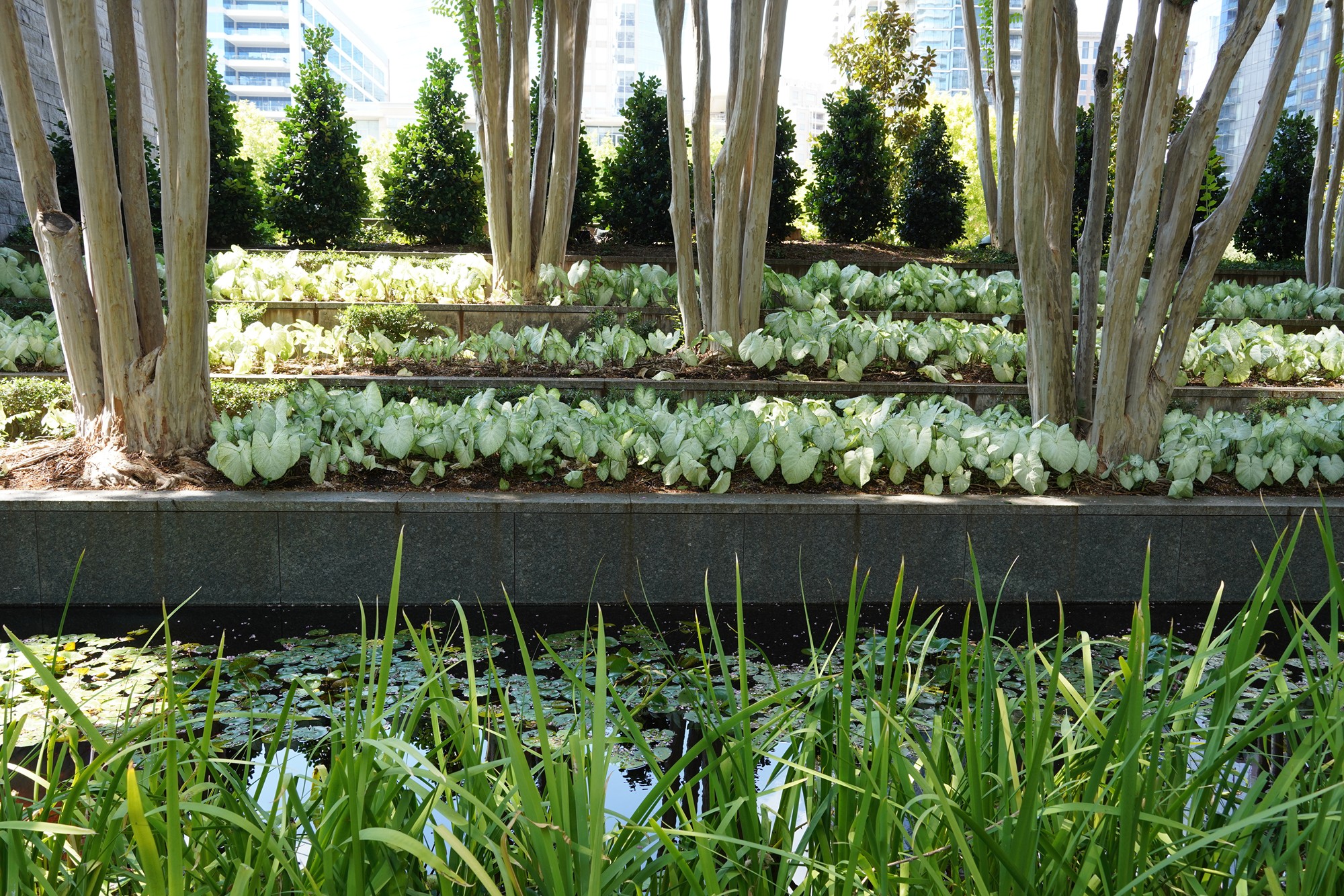 Nasher Sculpture Center (47)