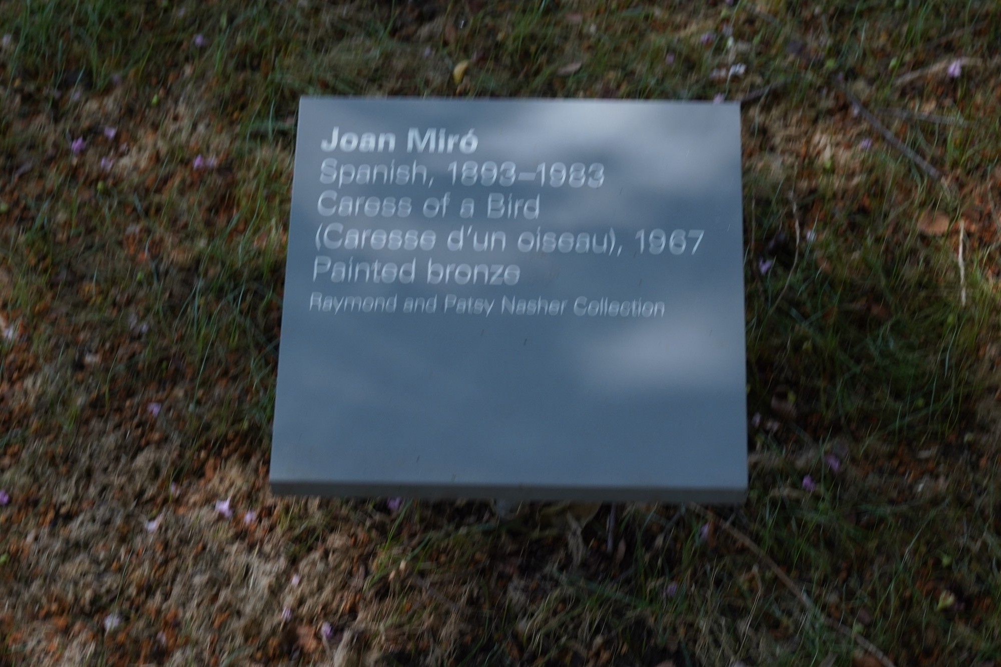 Nasher Sculpture Center (49)