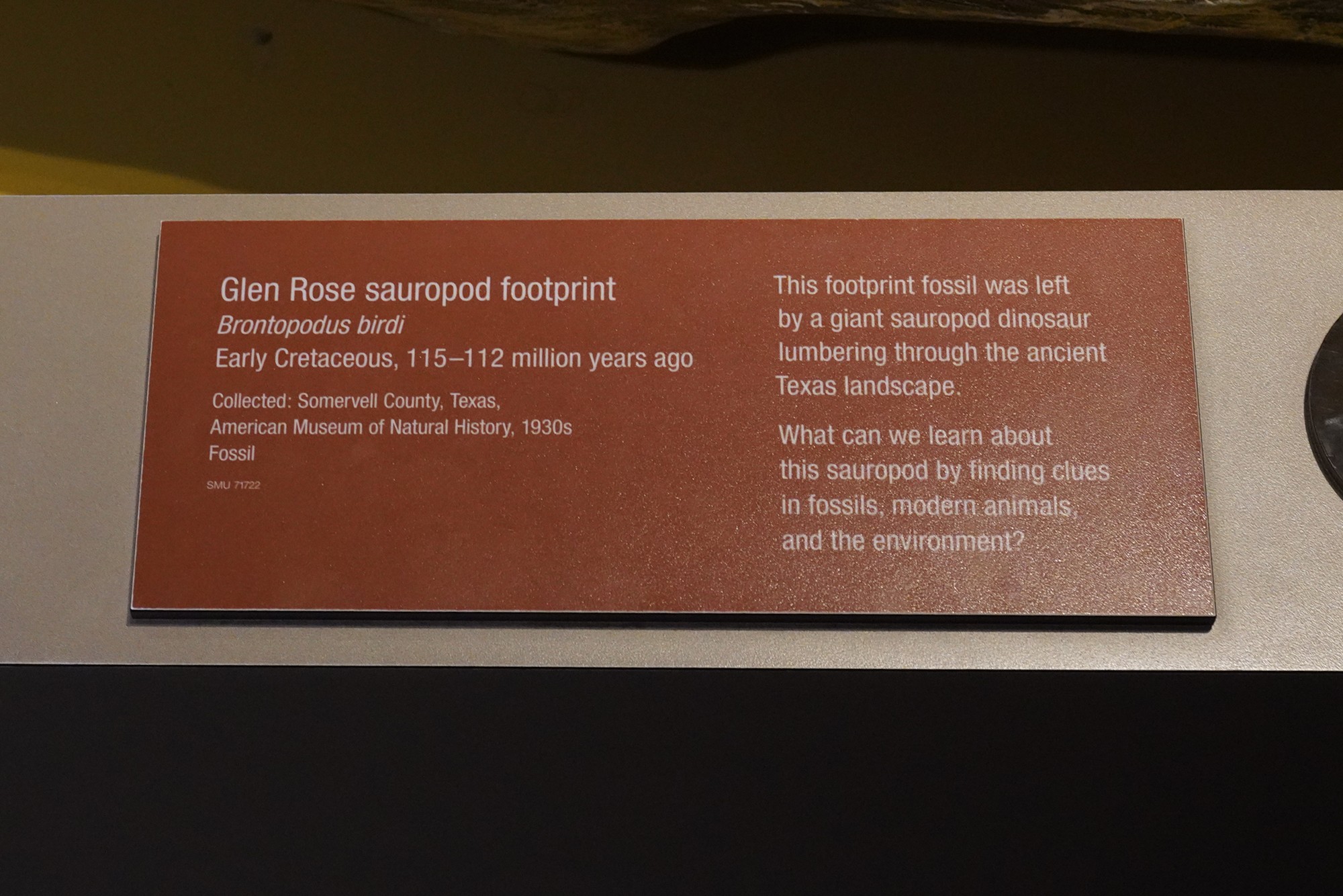 Perot Museum of Nature and Science (10)