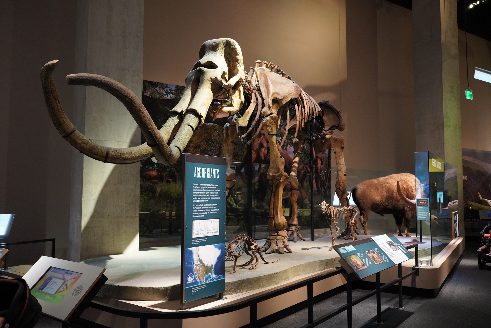 Perot Museum of Nature and Science (11)