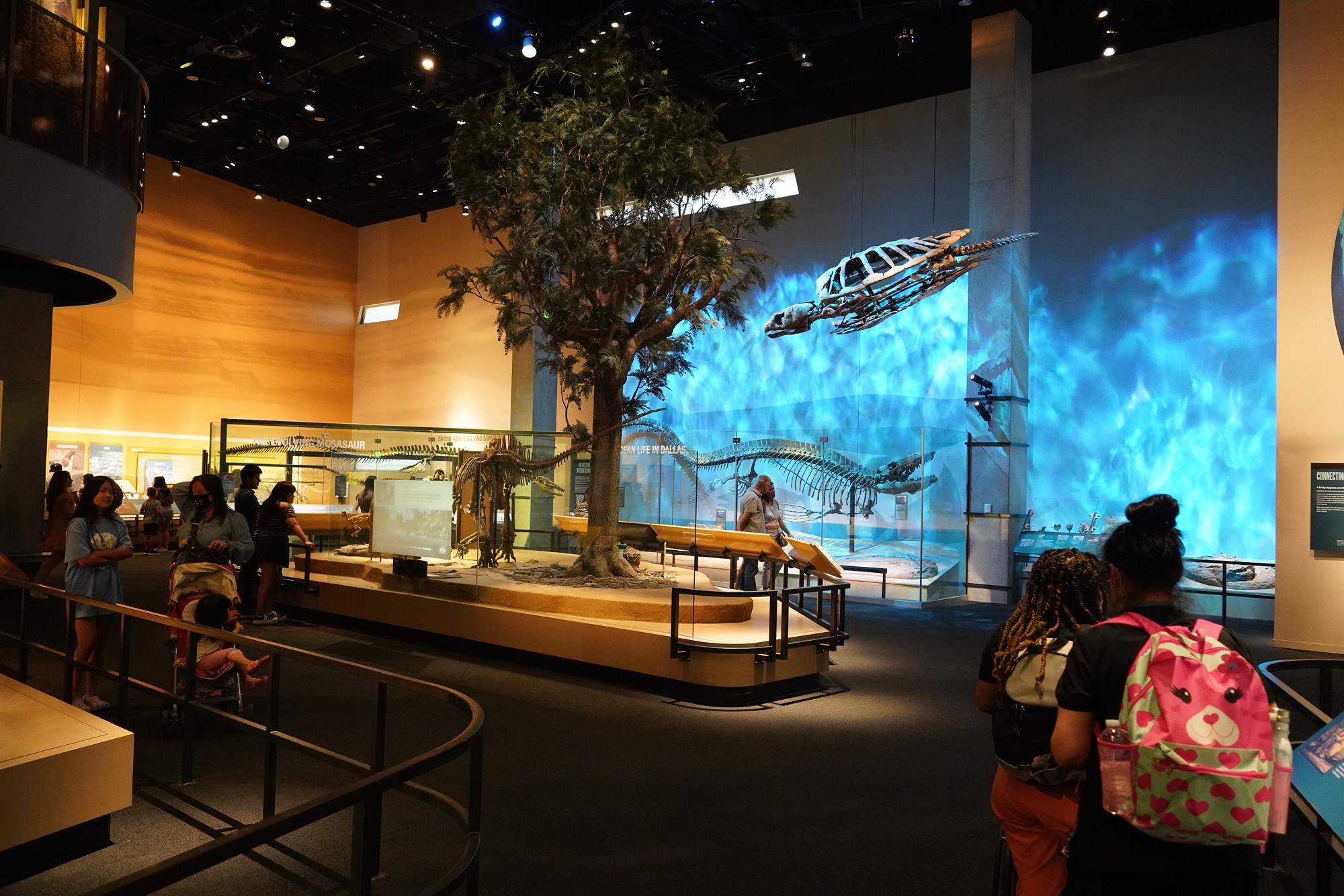 Perot Museum of Nature and Science (12)