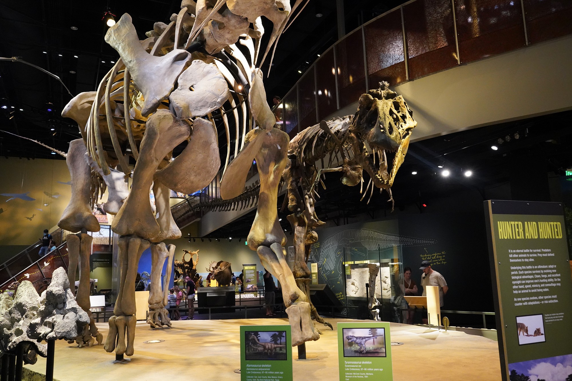 Perot Museum of Nature and Science (13)