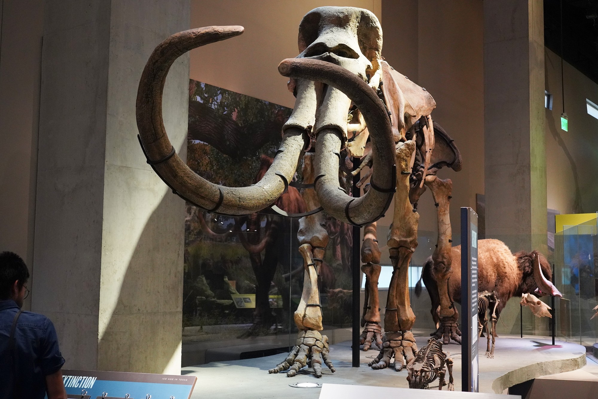 Perot Museum of Nature and Science (17)