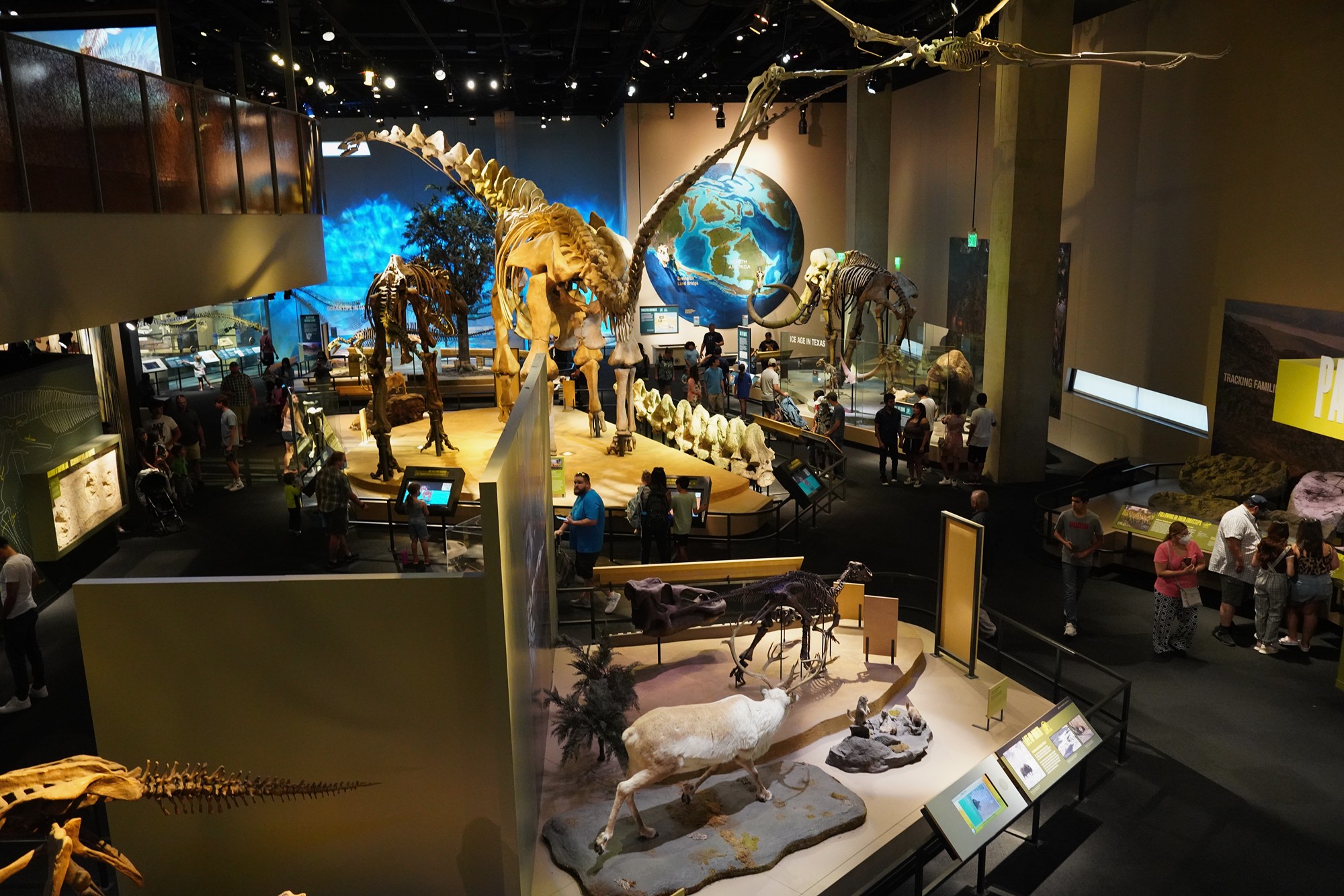 Perot Museum of Nature and Science (19)