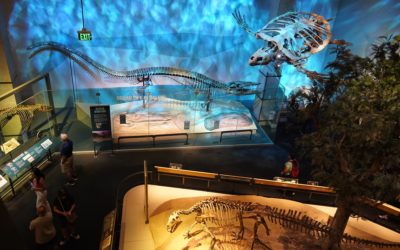 Perot Museum of Nature and Science, Dallas, Texas, USA