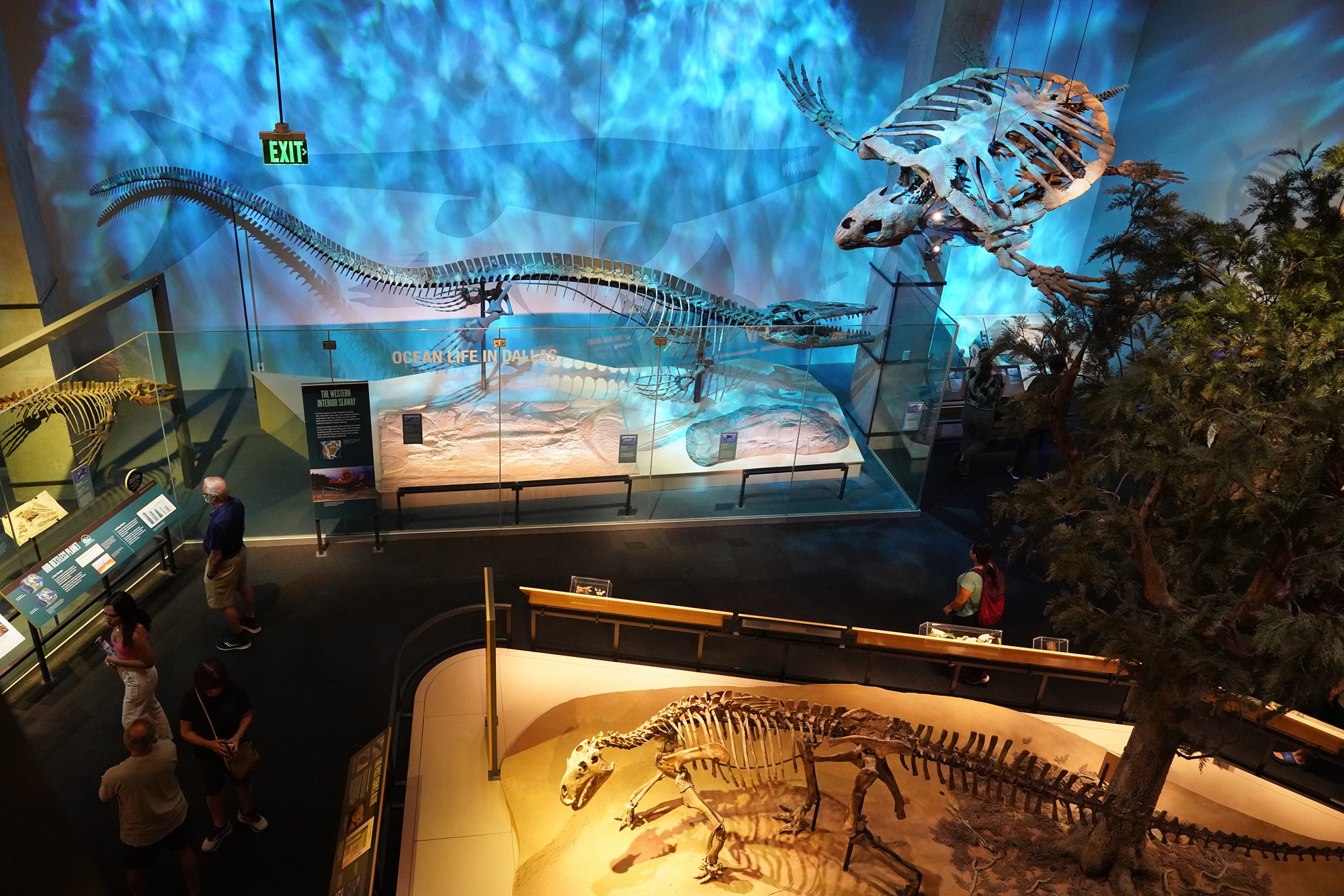 Perot Museum of Nature and Science (20)