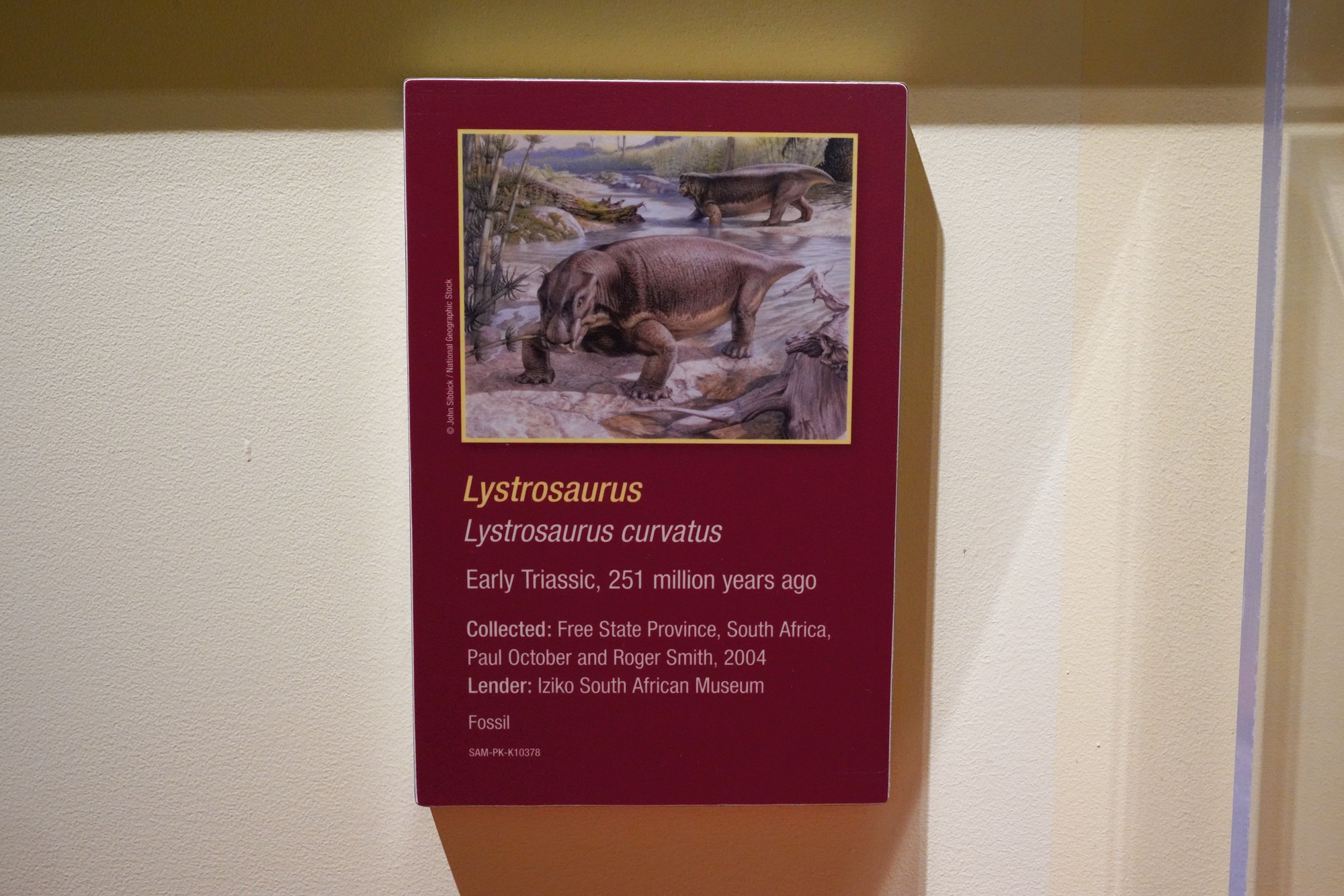 Perot Museum of Nature and Science (22)