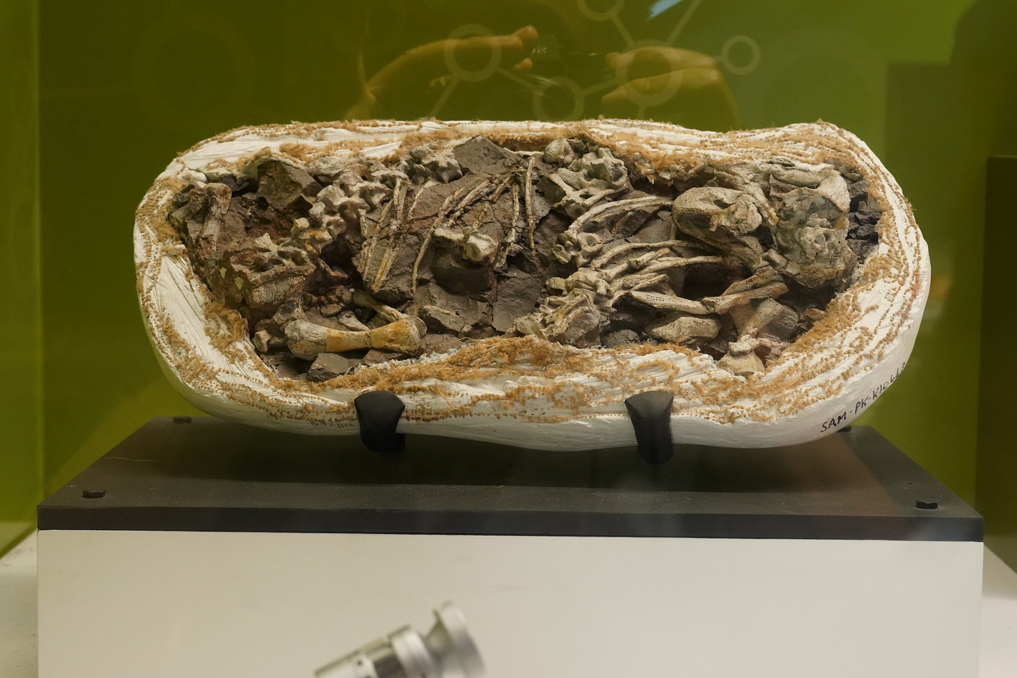 Perot Museum of Nature and Science (23)