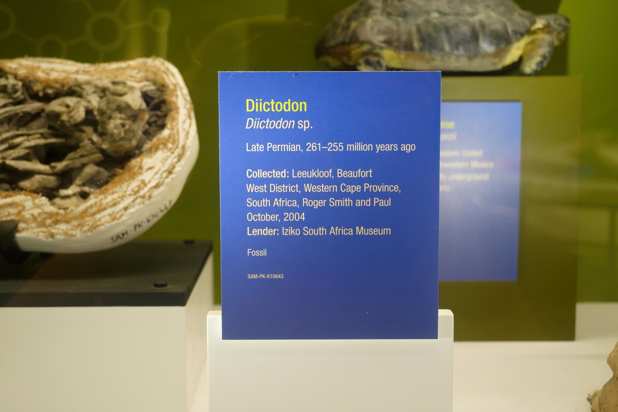 Perot Museum of Nature and Science (24)