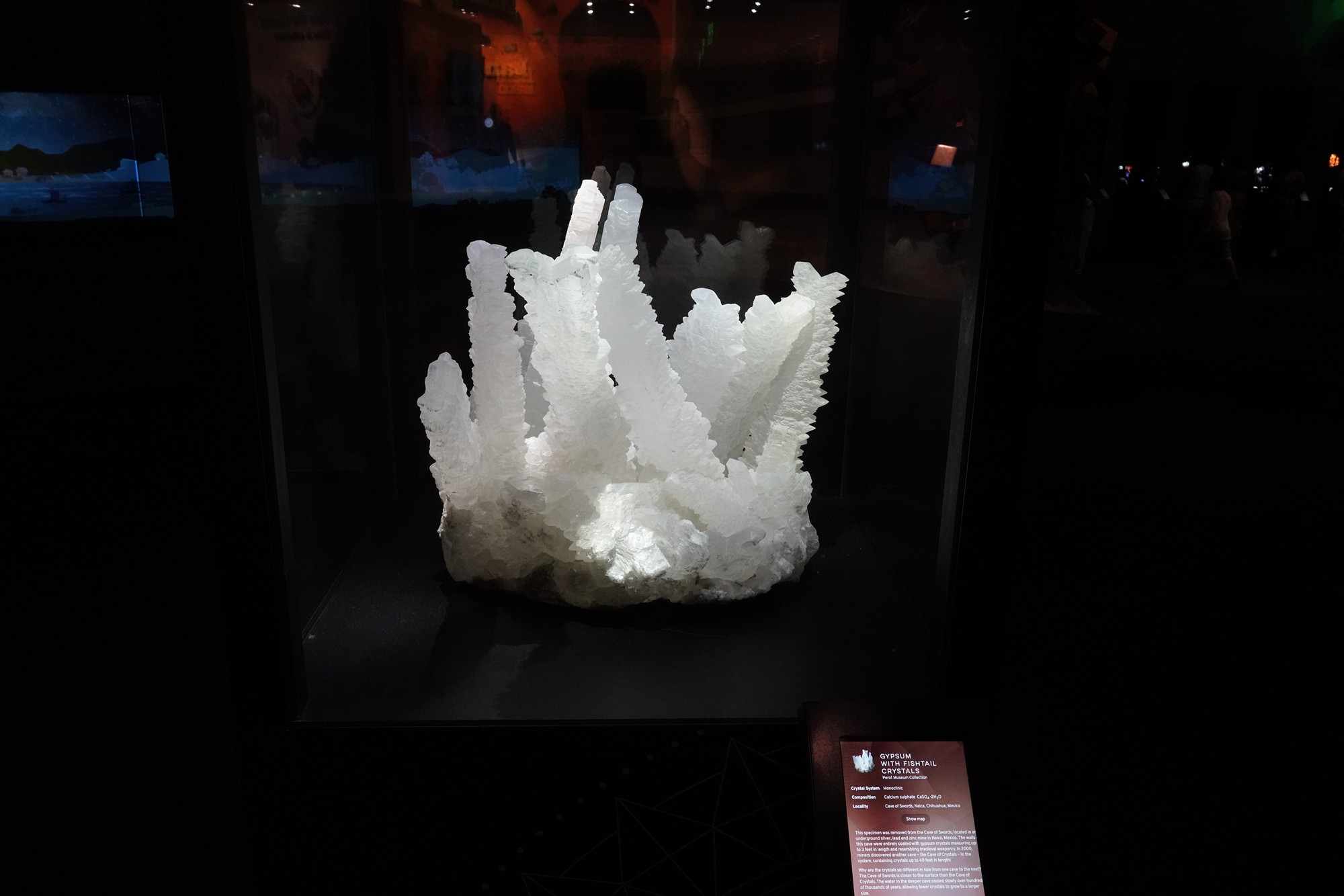 Perot Museum of Nature and Science (27)