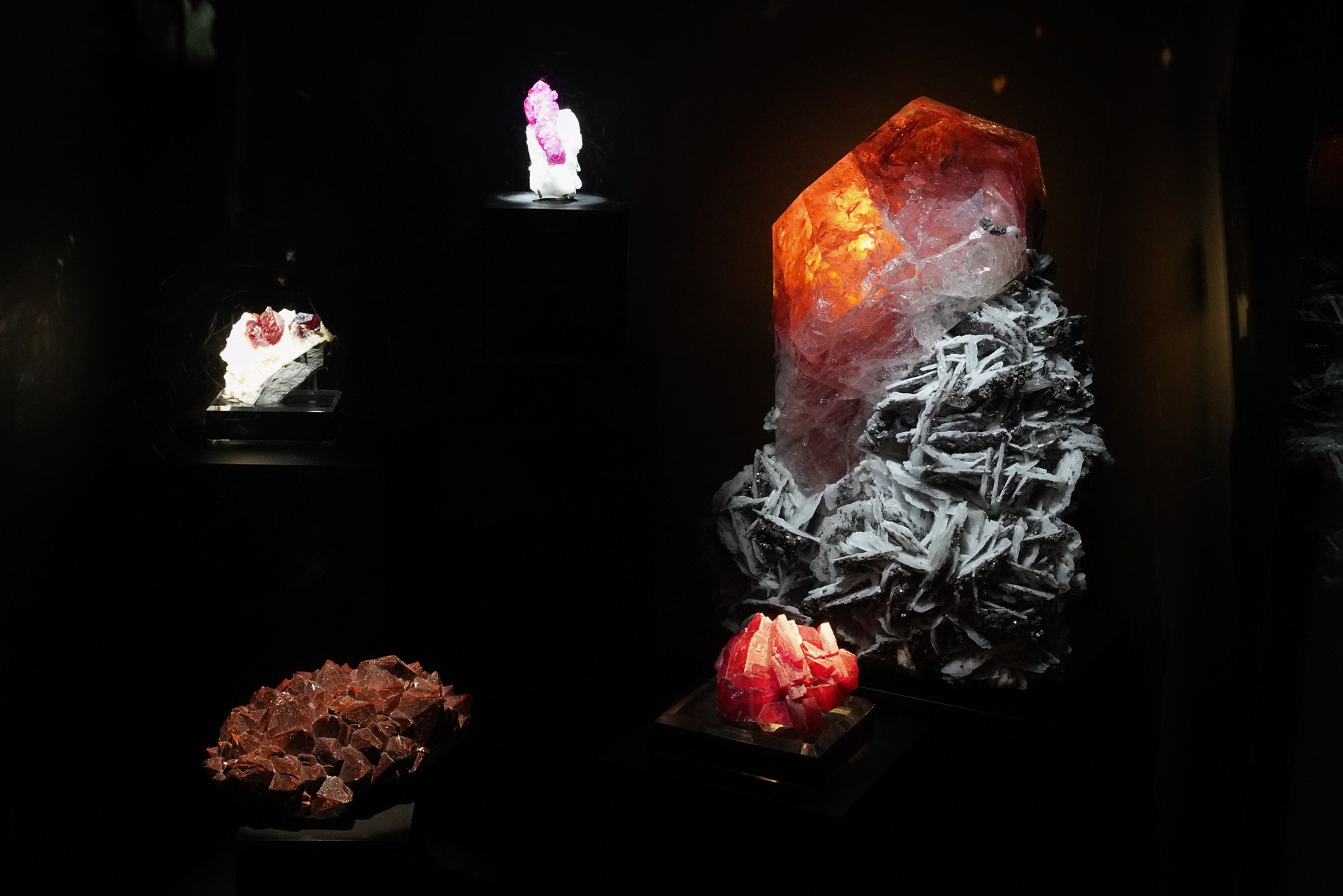 Perot Museum of Nature and Science (31)
