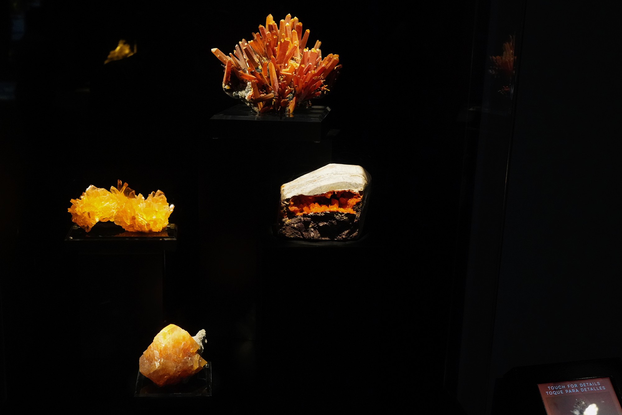 Perot Museum of Nature and Science (32)