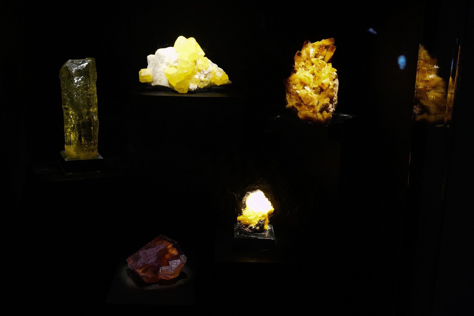 Perot Museum of Nature and Science (33)