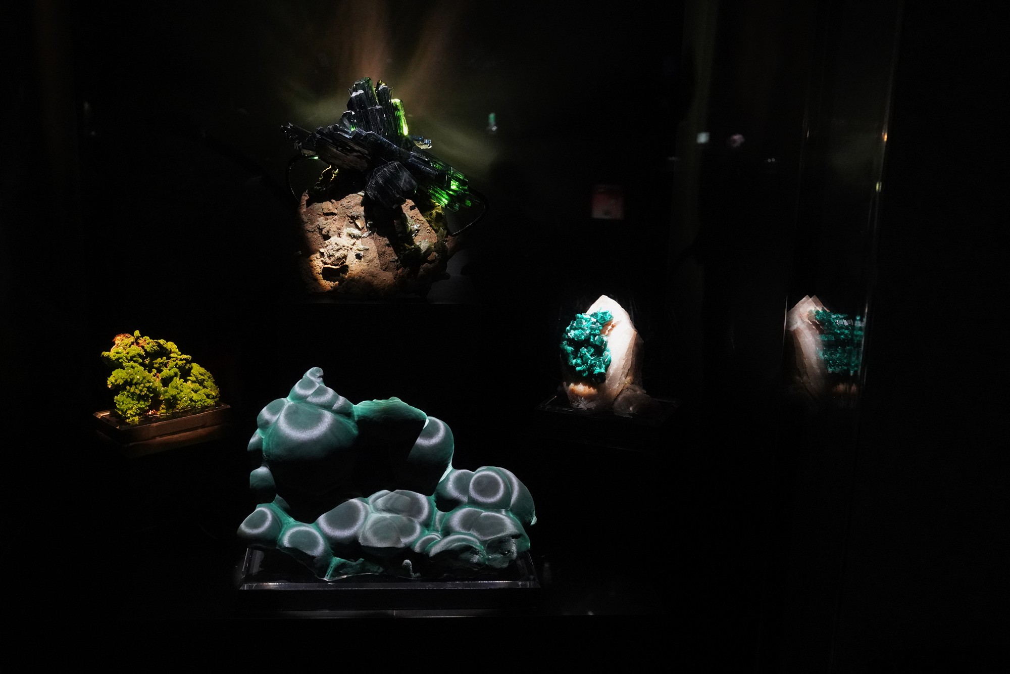 Perot Museum of Nature and Science (34)