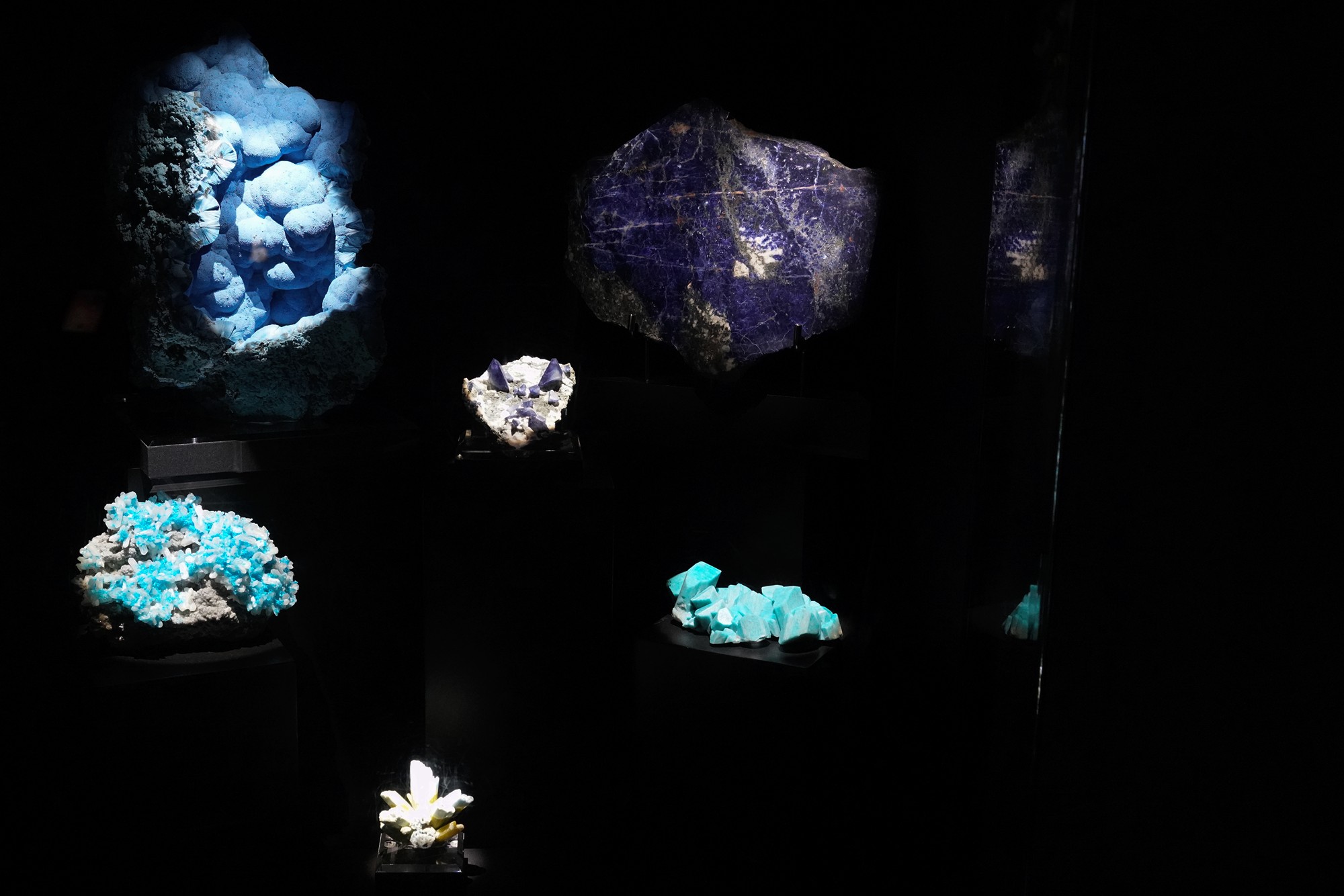 Perot Museum of Nature and Science (35)