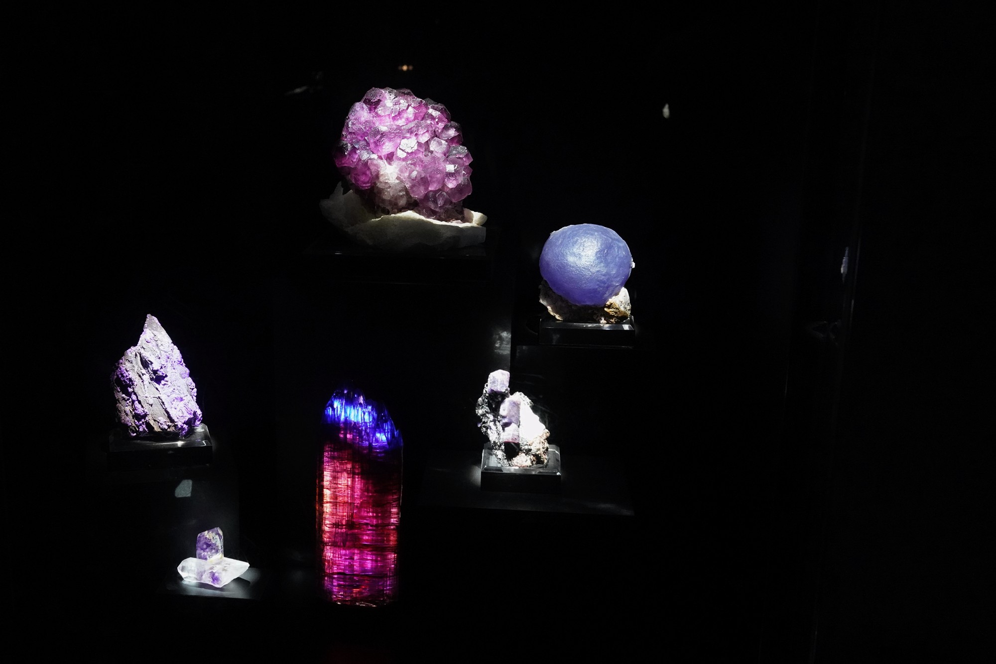 Perot Museum of Nature and Science (36)
