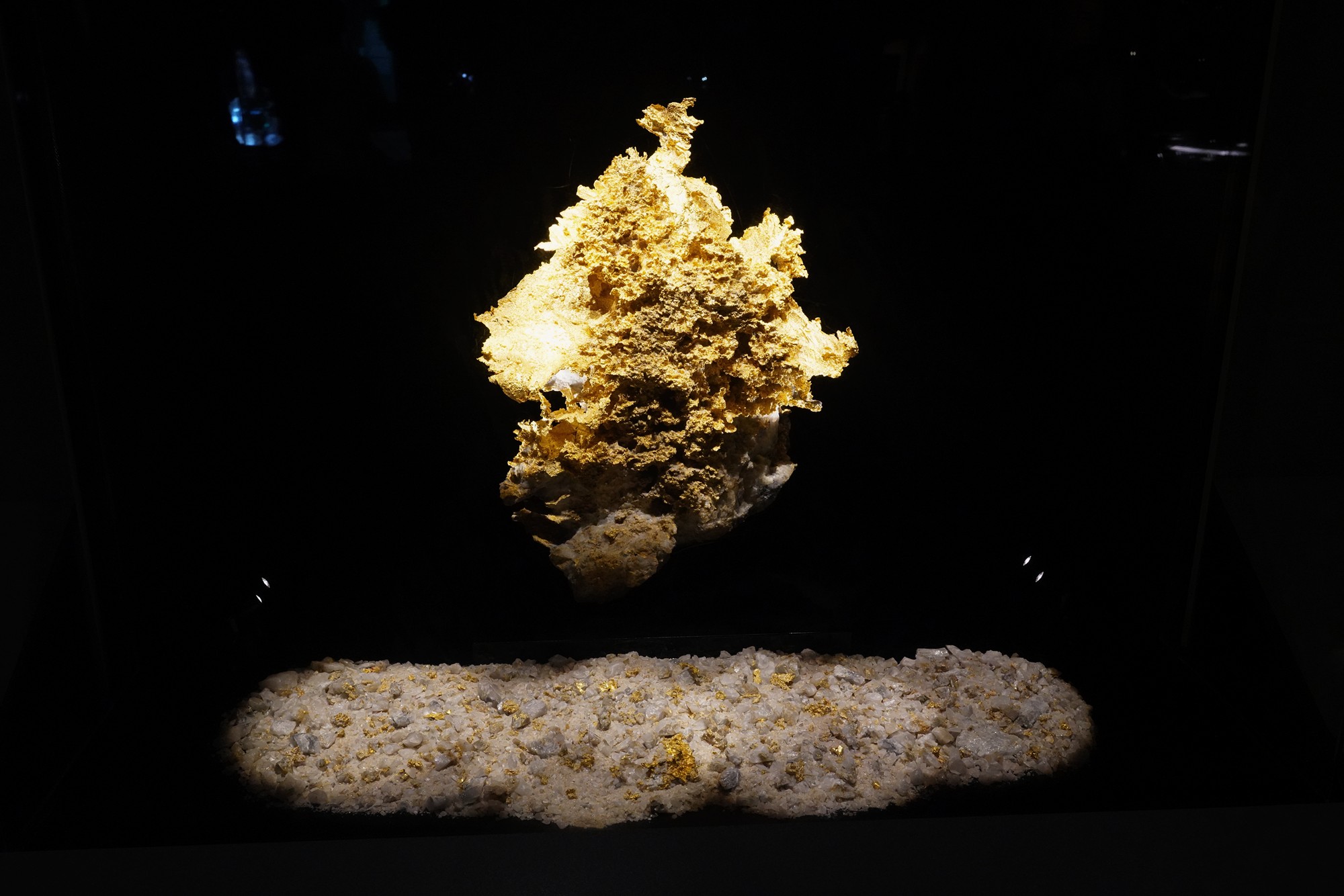 Perot Museum of Nature and Science (38)