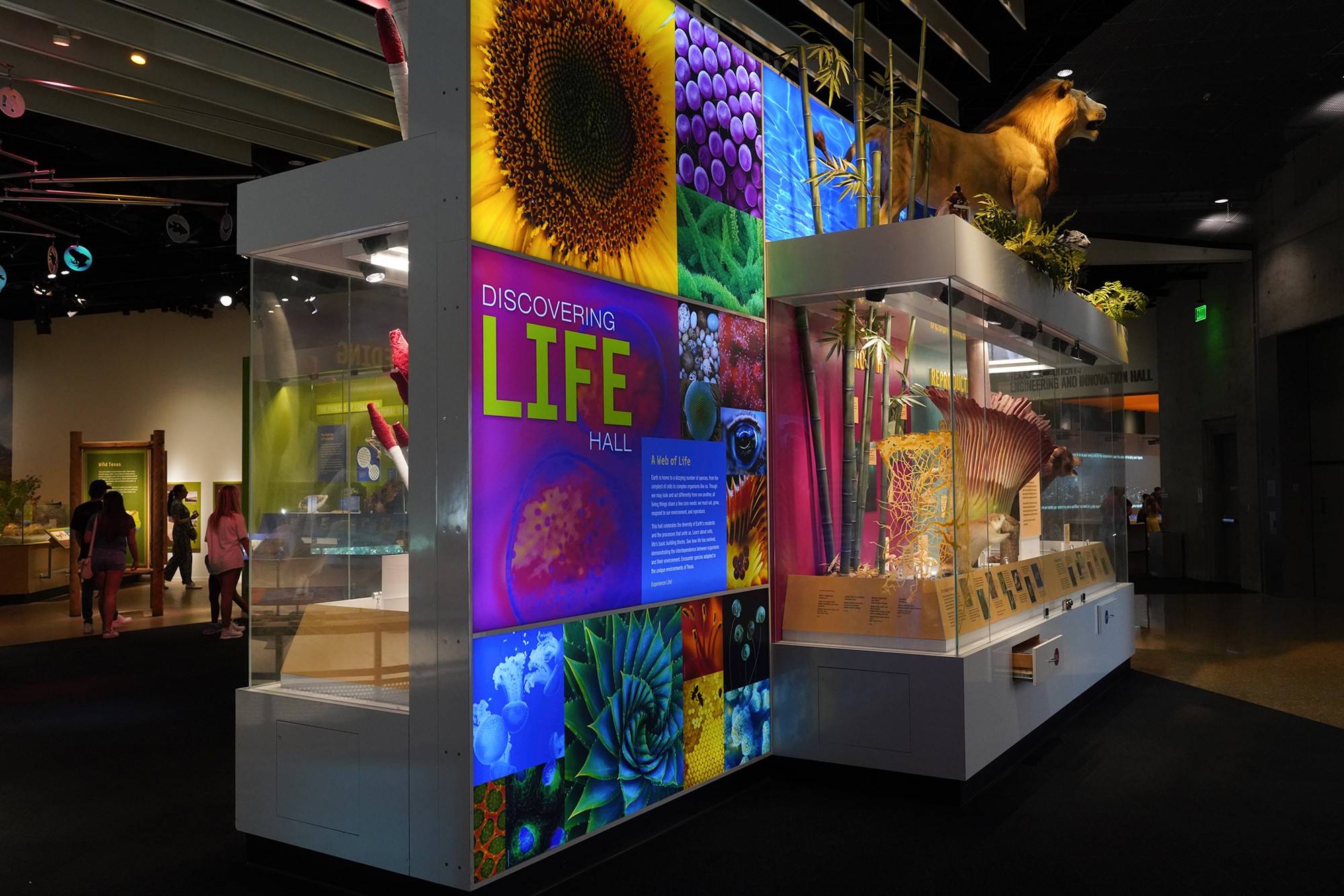 Perot Museum of Nature and Science (40)