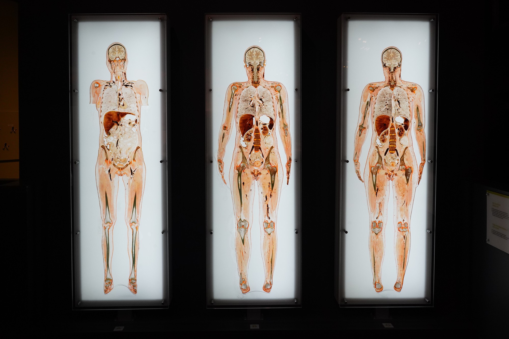 Perot Museum of Nature and Science (42)
