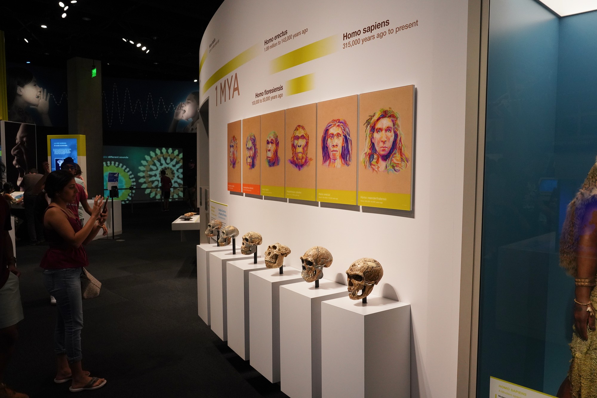 Perot Museum of Nature and Science (47)