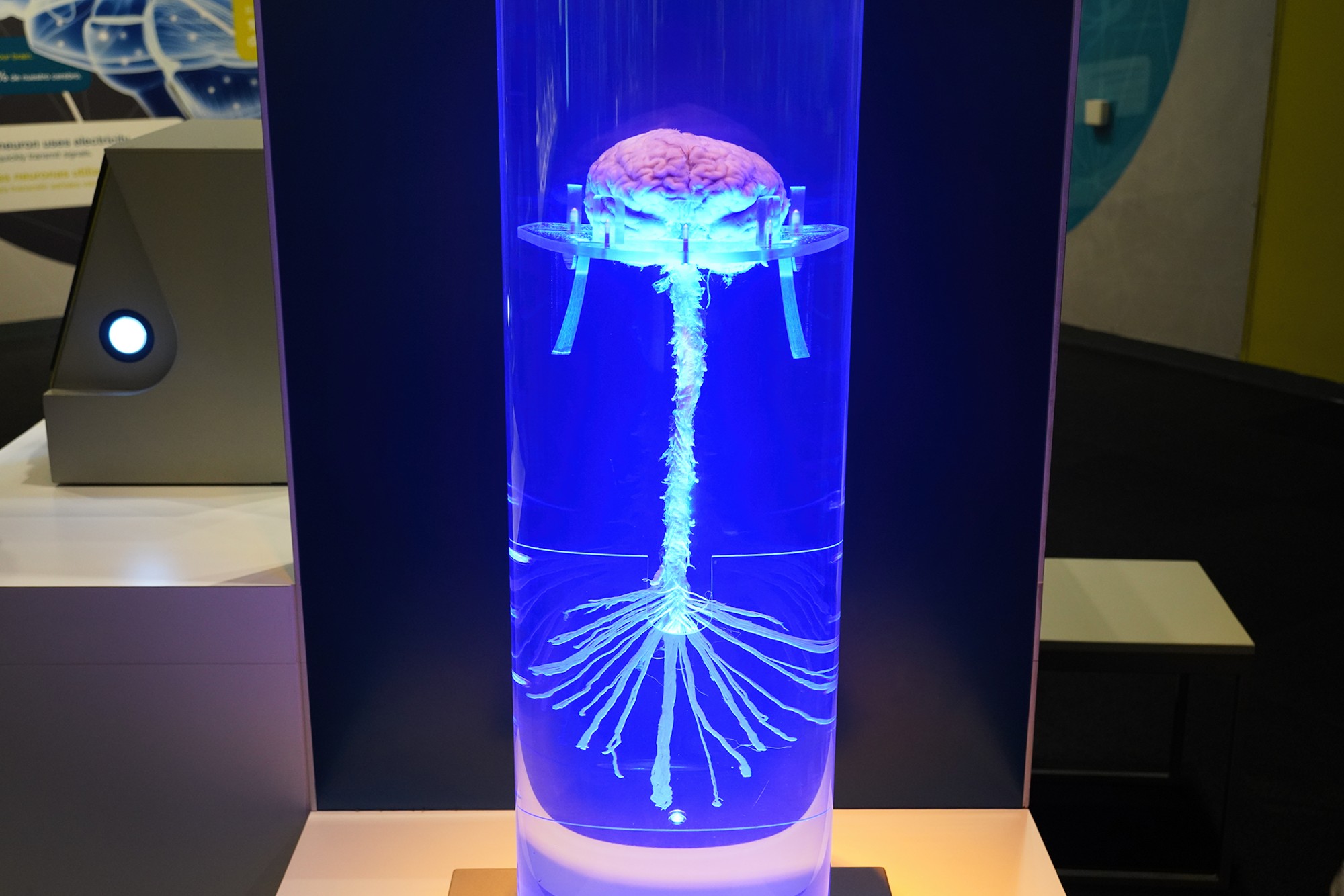 Perot Museum of Nature and Science (48)