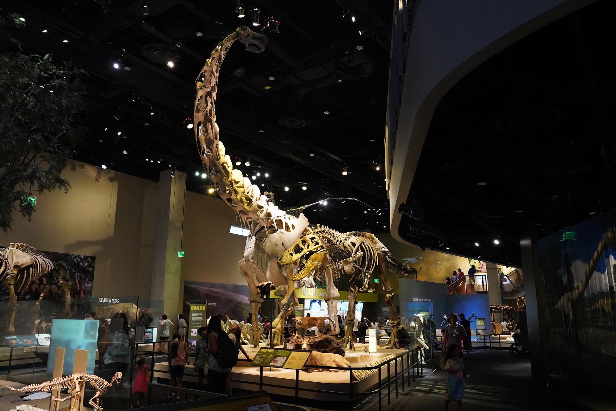 Perot Museum of Nature and Science (8)