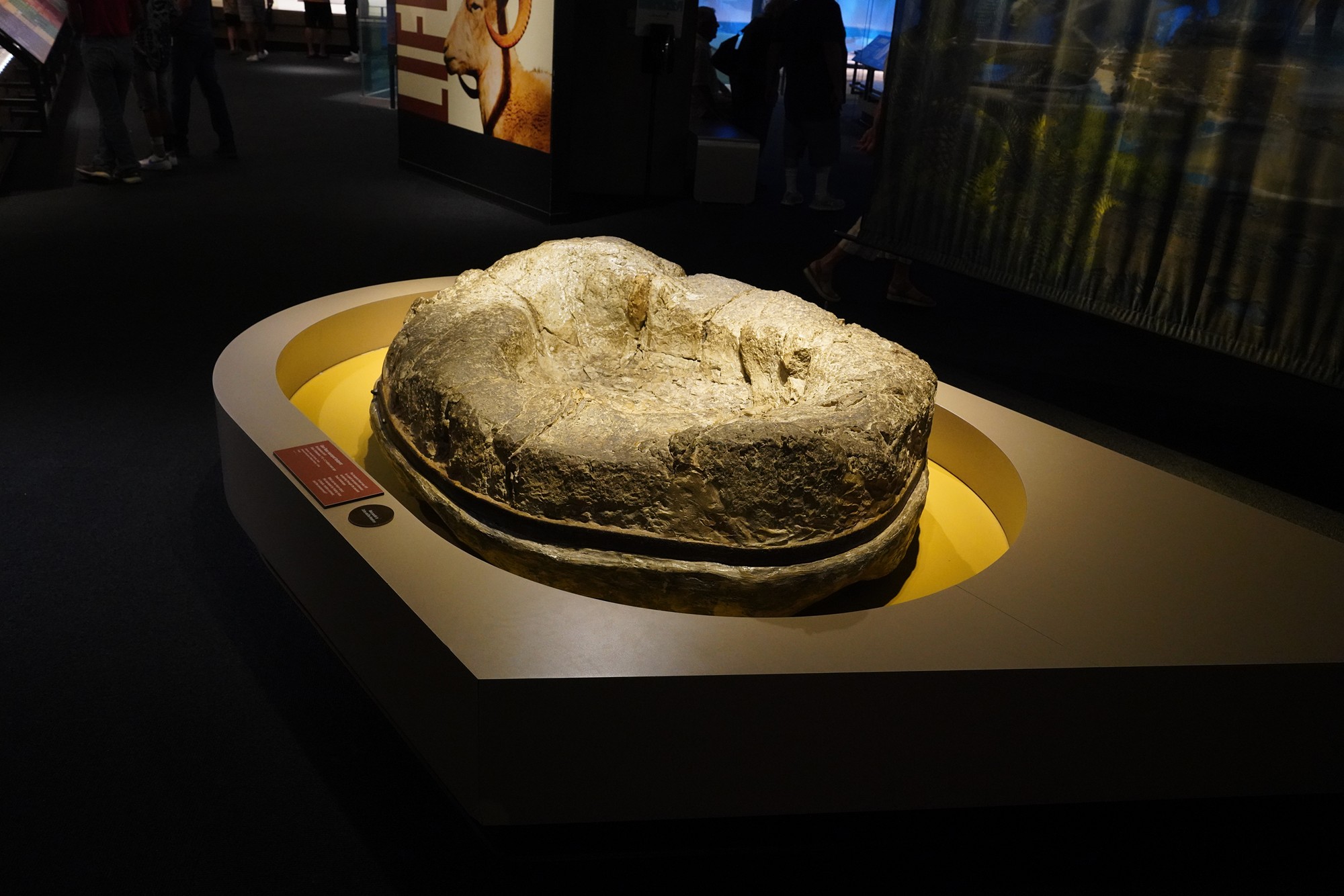 Perot Museum of Nature and Science (9)