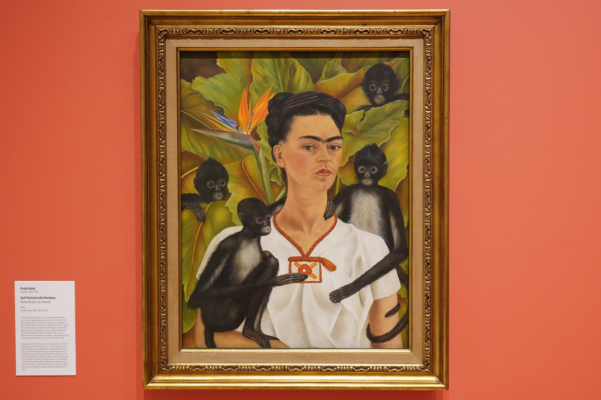 Philbrook Museum of Art (123)