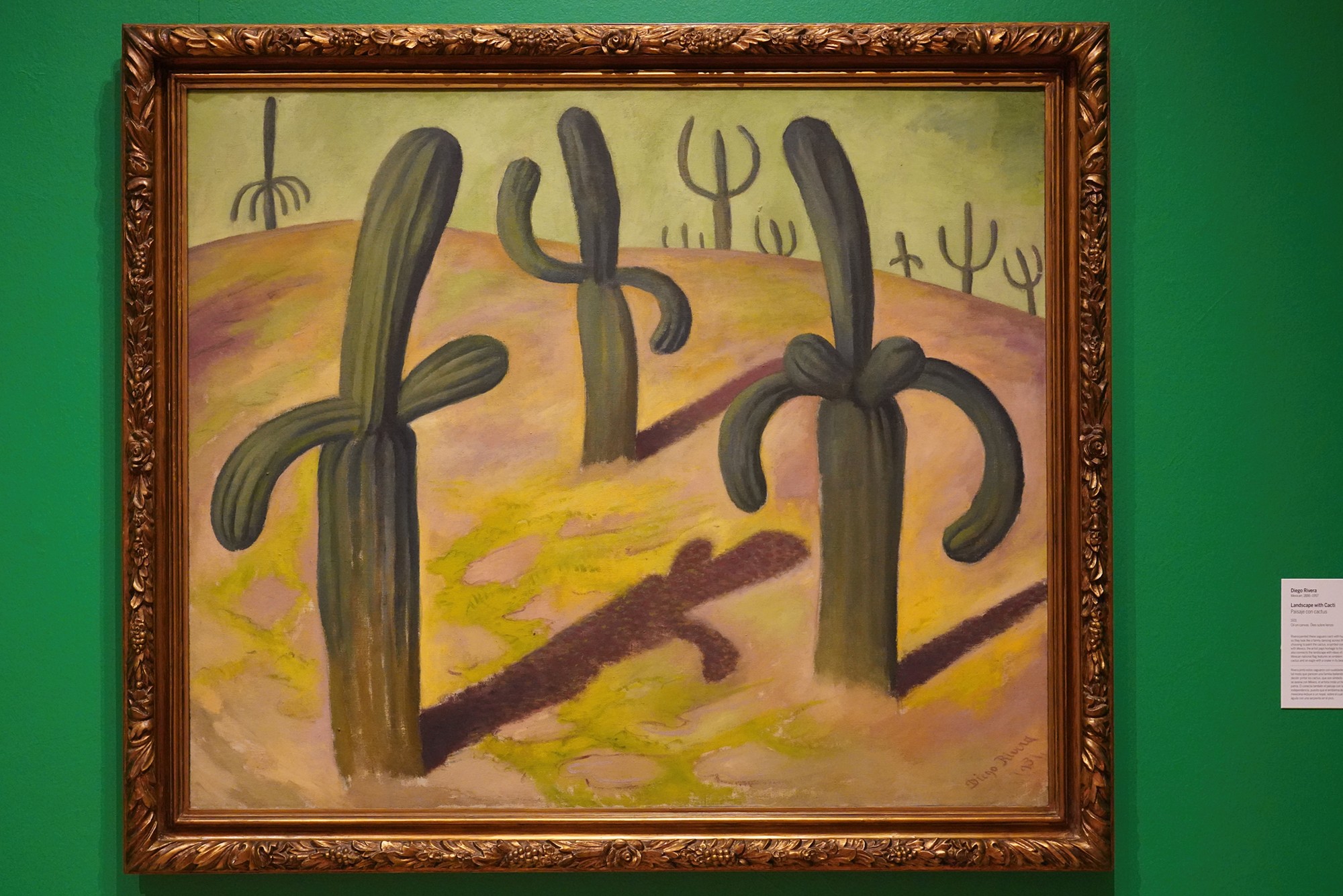 Philbrook Museum of Art (127)