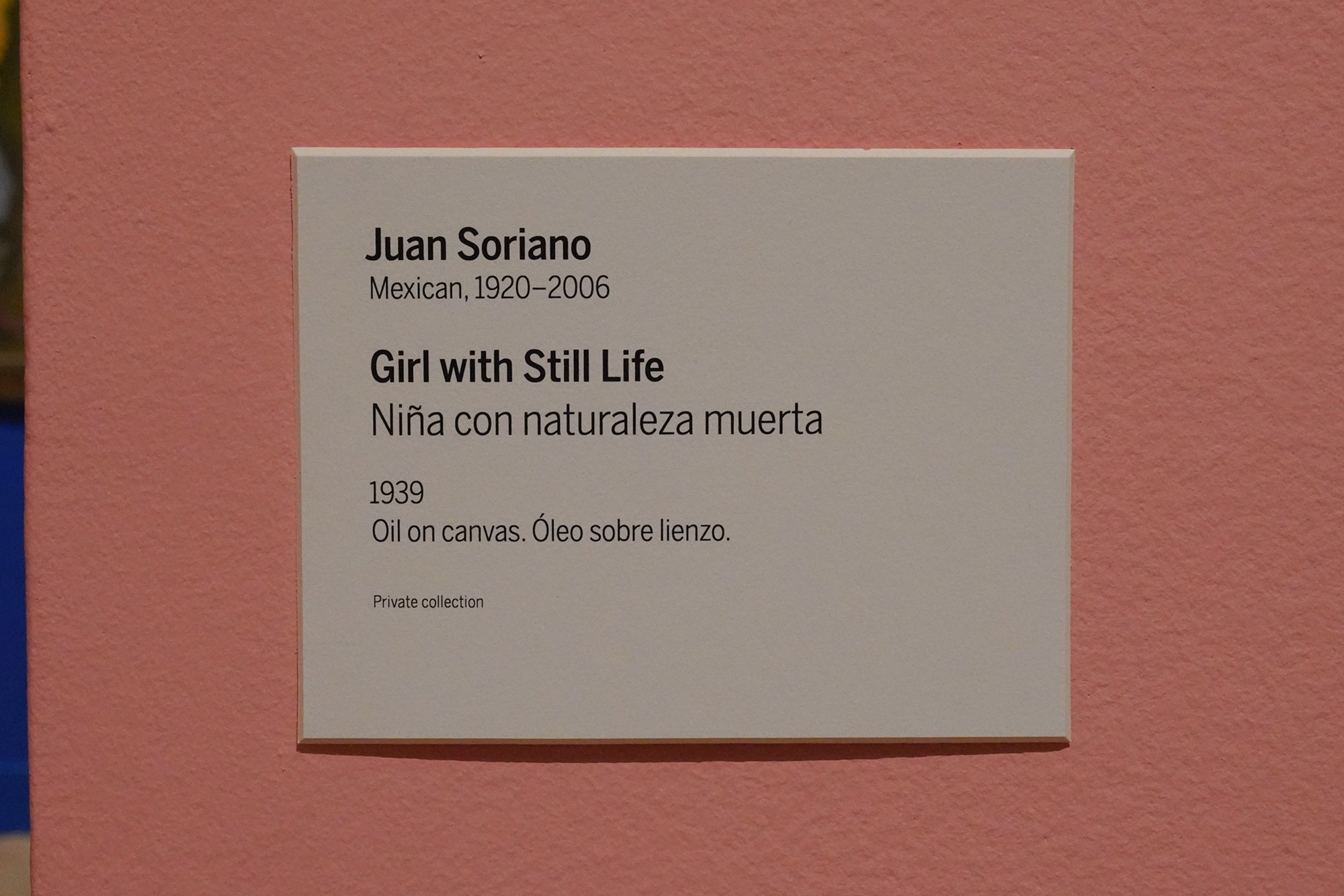 Philbrook Museum of Art (130)