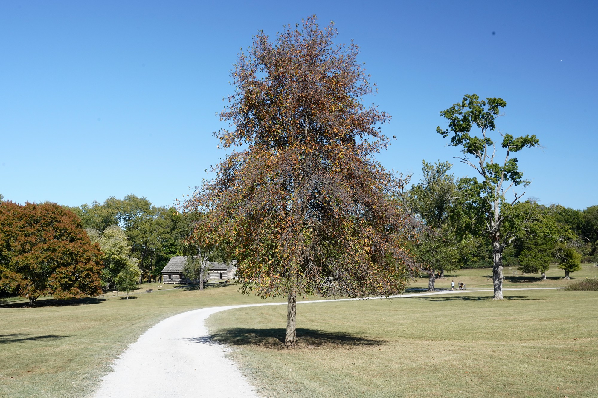 Andrew Jackson’s Hermitage (61)