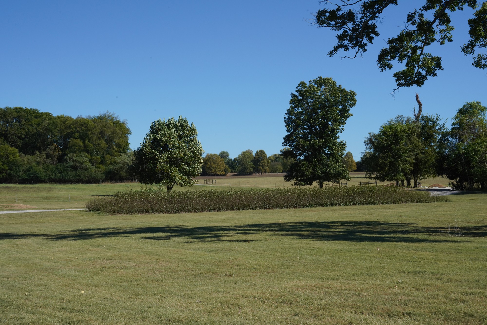 Andrew Jackson’s Hermitage (64)