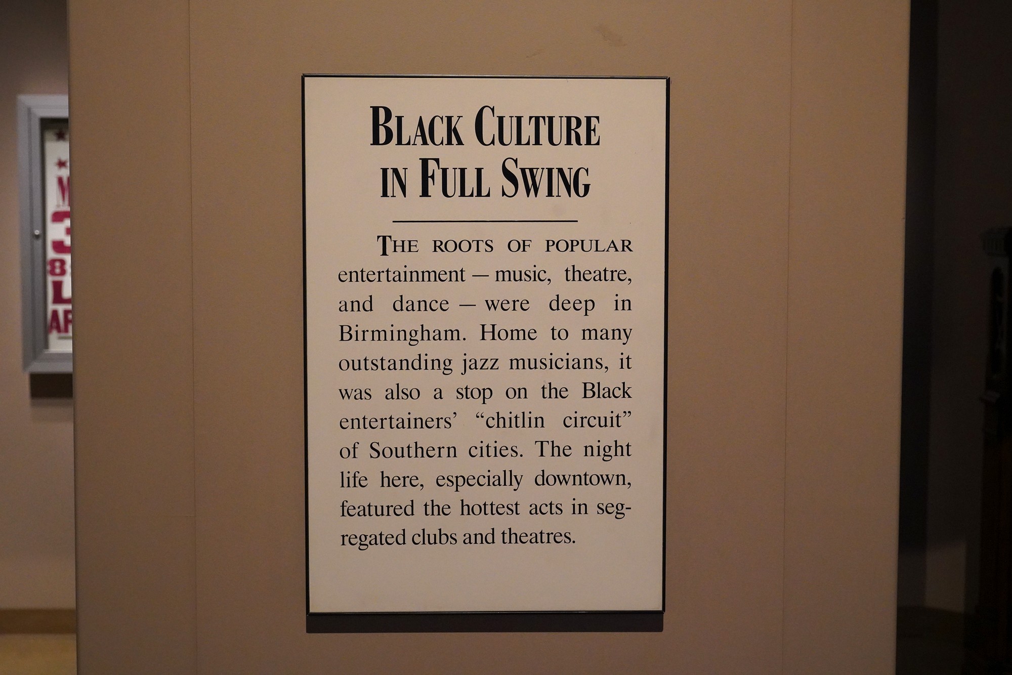 Birmingham Civil Rights Institute (45)