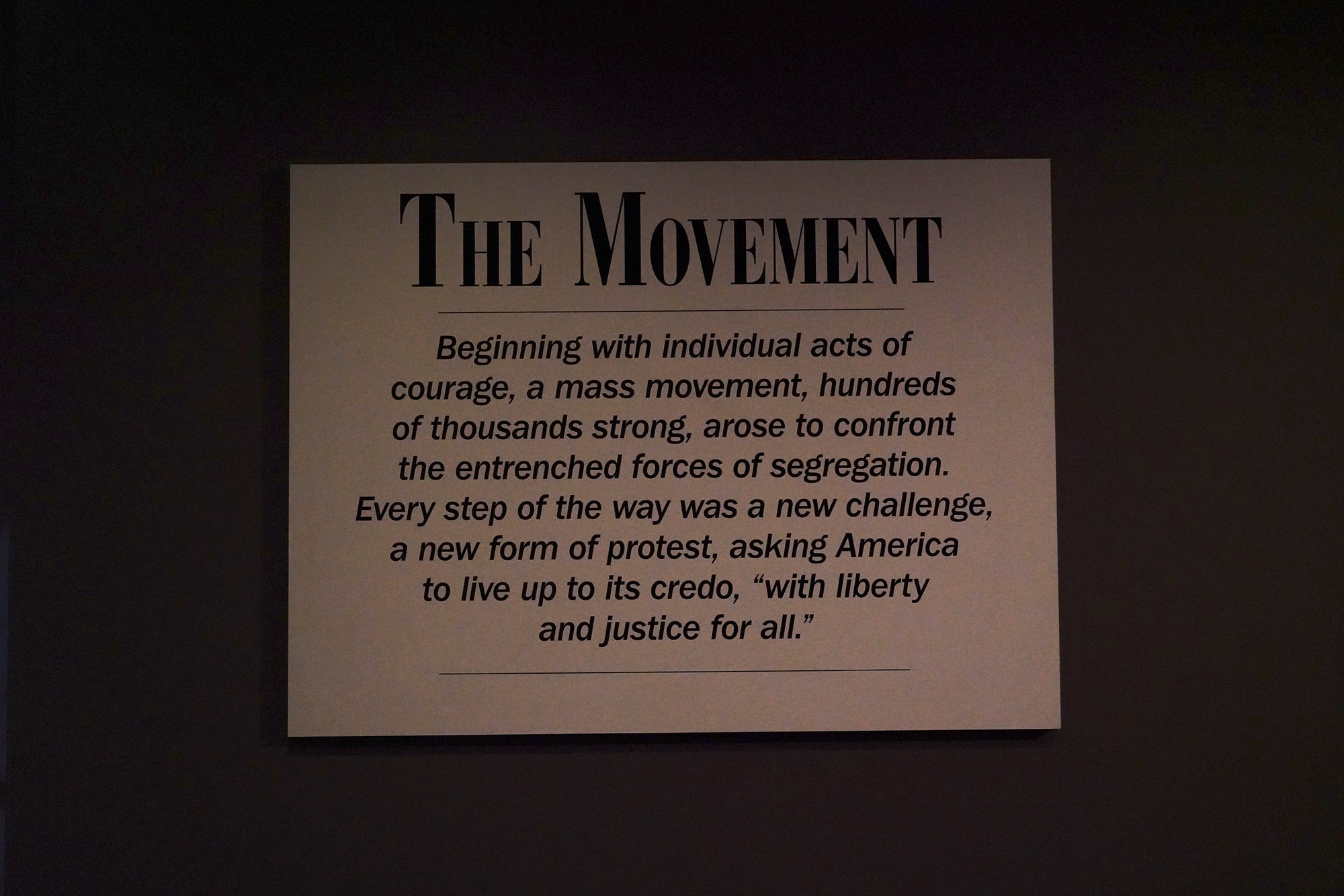 Birmingham Civil Rights Institute (64)