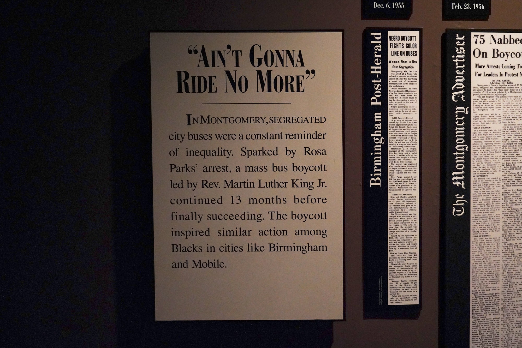 Birmingham Civil Rights Institute (71)