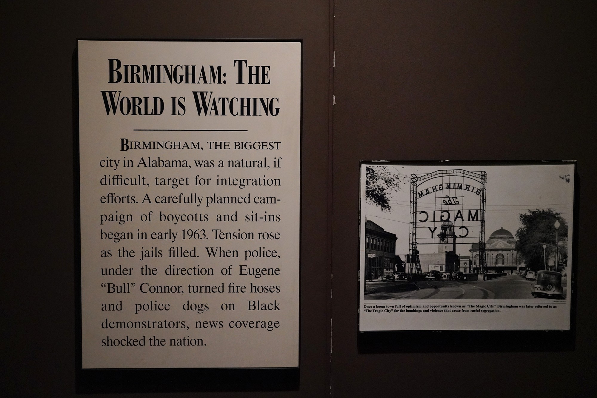 Birmingham Civil Rights Institute (84)