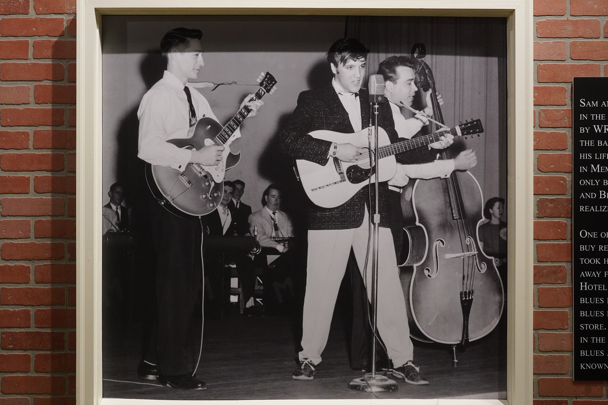 Graceland - Elvis Museum (16)
