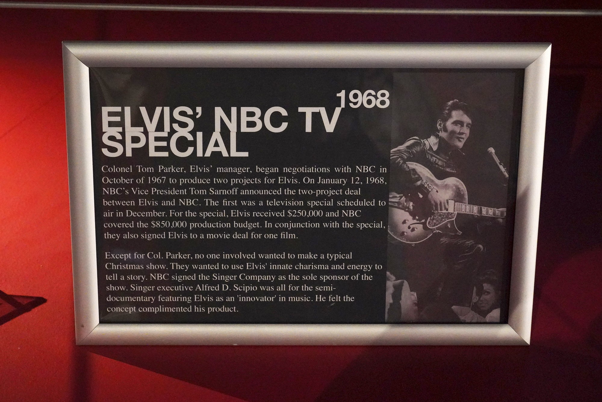 Graceland - Elvis Museum (40)