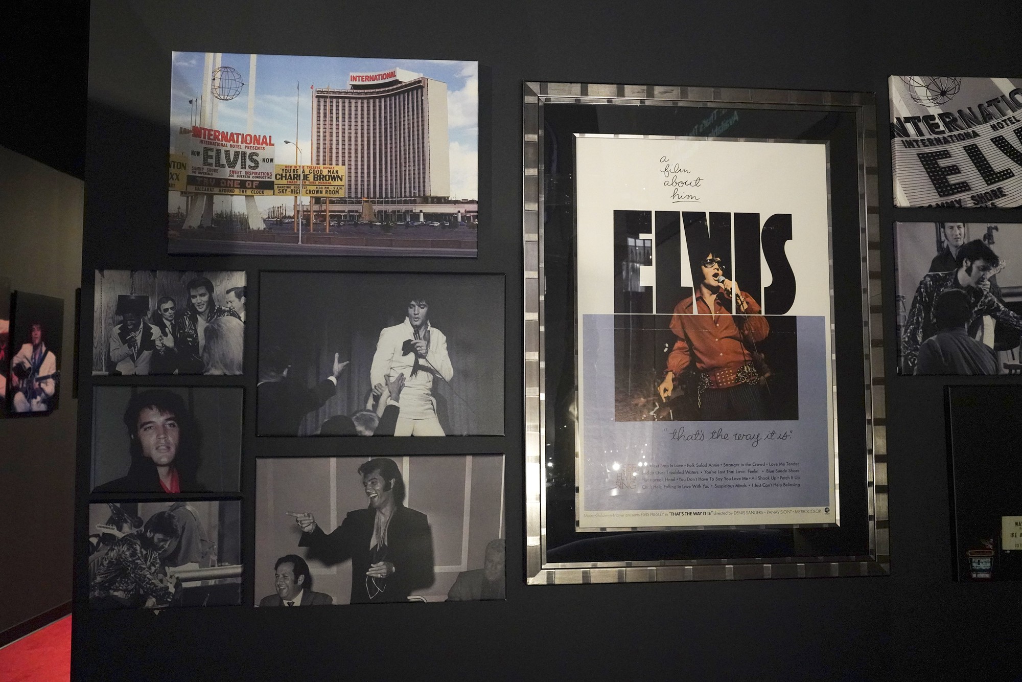 Graceland - Elvis Museum (47)